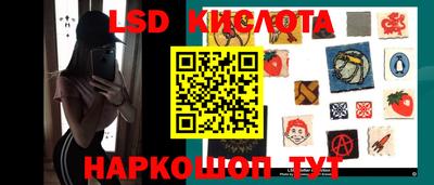 дживик Моздок