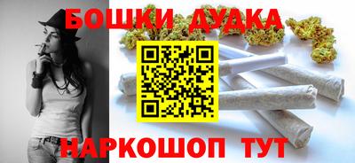 дживик Моздок