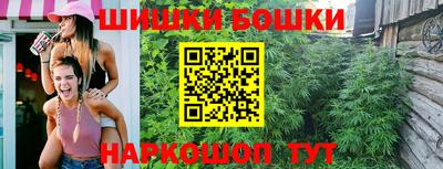 дживик Моздок