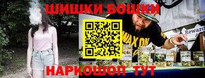 дживик Моздок