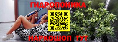 дживик Моздок